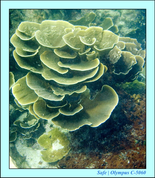 2008 - 07 - Redang - 018